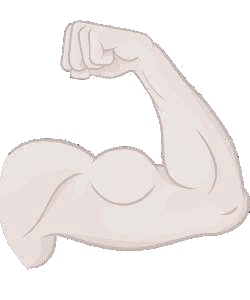 Biceps icon